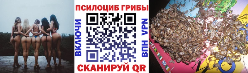 Галлюциногенные грибы Cubensis  Купить закладки  Лодейное Поле 