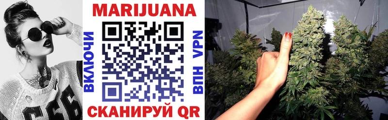 Купить закладки  Лодейное Поле  МАРИХУАНА Amnesia 